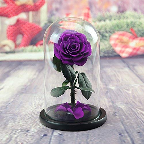 DeFancy Preserved Rose in Glass Dome with Gift Box
